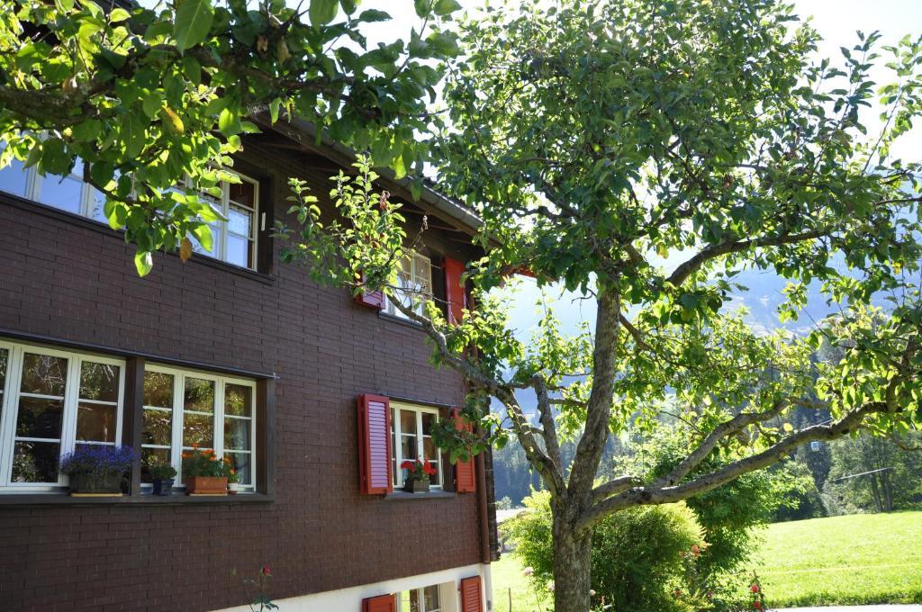 Chalet Allmegrat Adelboden Extérieur photo